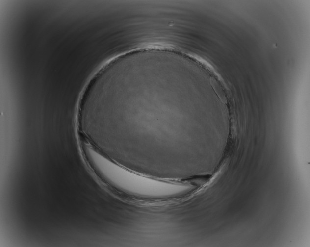 X0000087531038200705251655