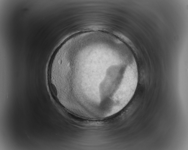 X0000087531039200705251655