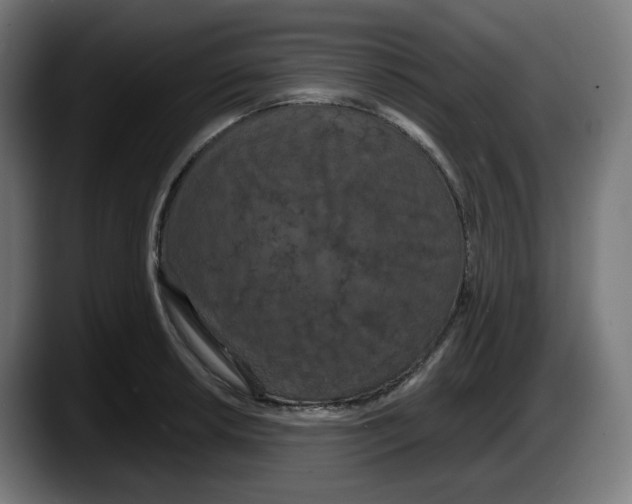 X0000087531042200705251655