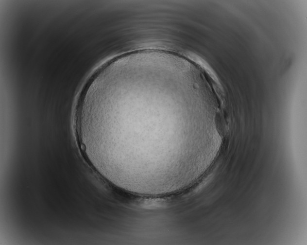 X0000087531043200705251655