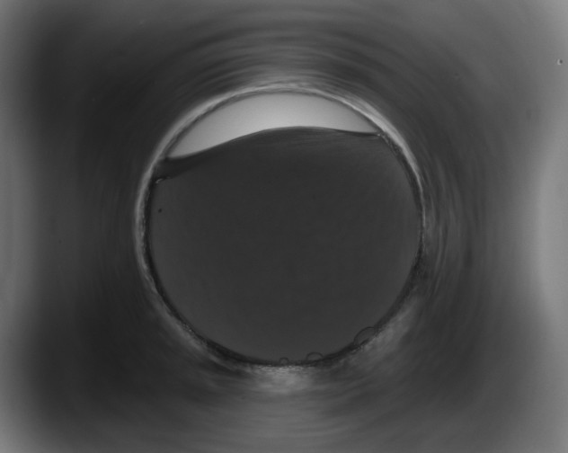 X0000087531045200705251655