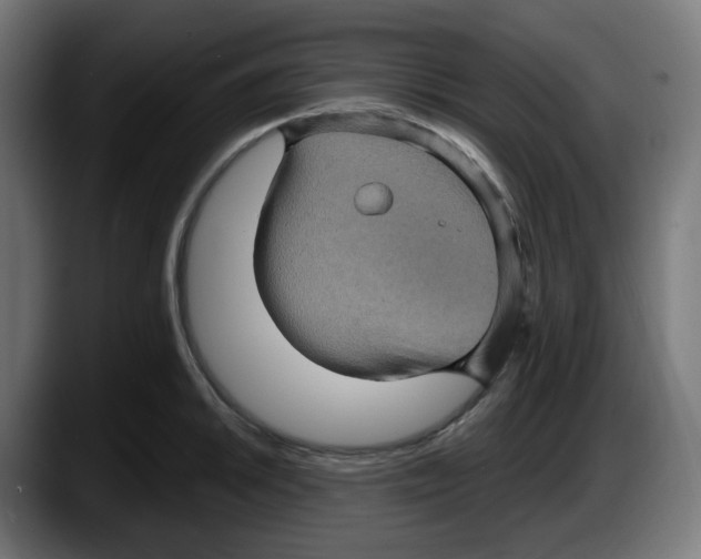 X0000087531046200705251655