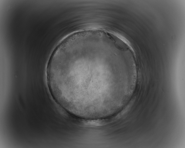 X0000087531047200705251655