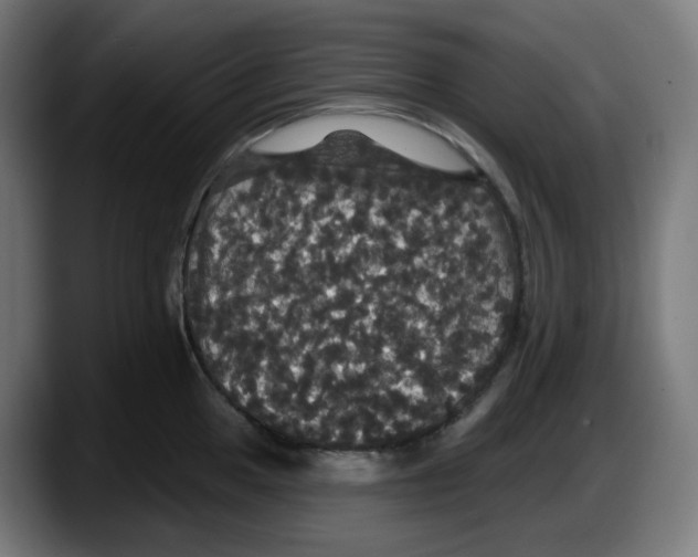 X0000087531049200705251655