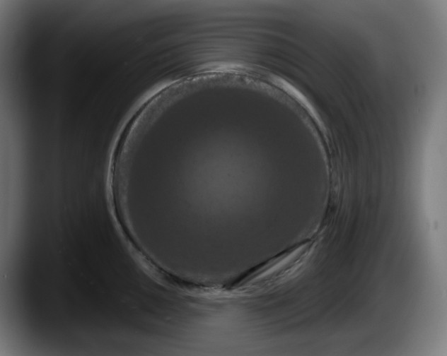 X0000087531050200705251655