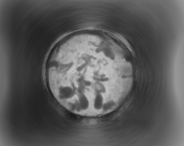 X0000087531051200705251655