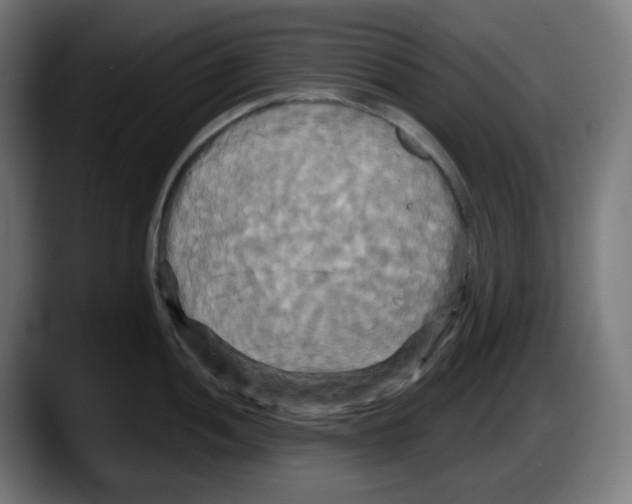 X0000087531052200705251655