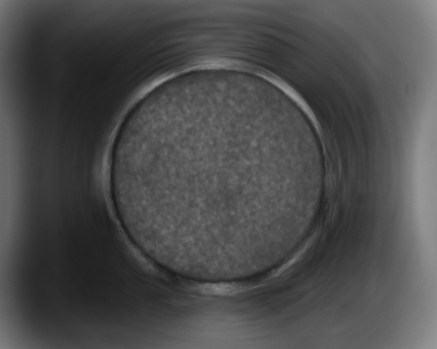 X0000087531053200705251655