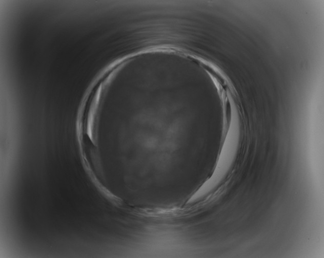 X0000087531054200705251655