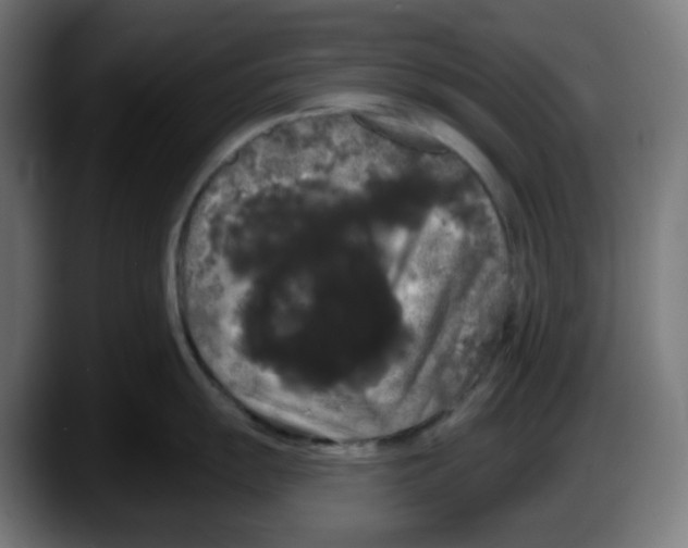 X0000087531055200705251655