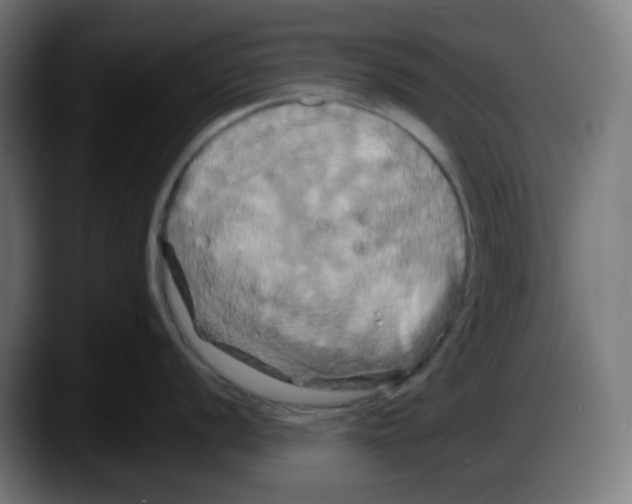 X0000087531056200705251655