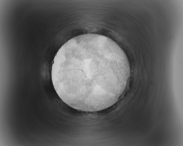 X0000087531058200705251655