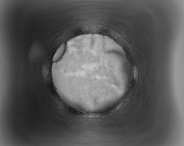 X0000087531059200705251655
