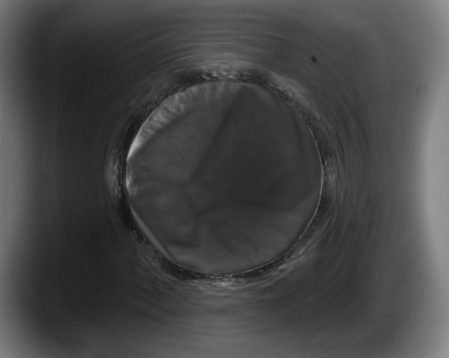 X0000087531060200705251655