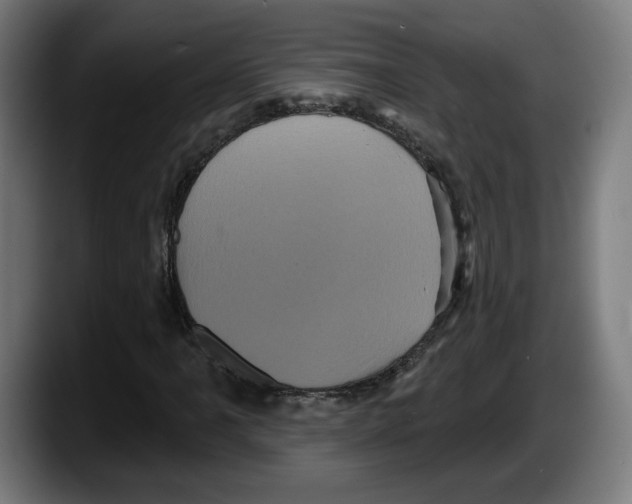 X0000087531061200705251655
