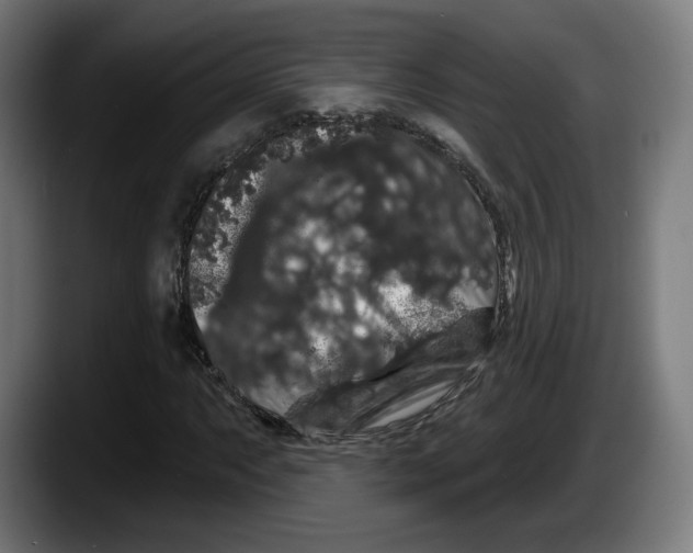X0000087531063200705251655