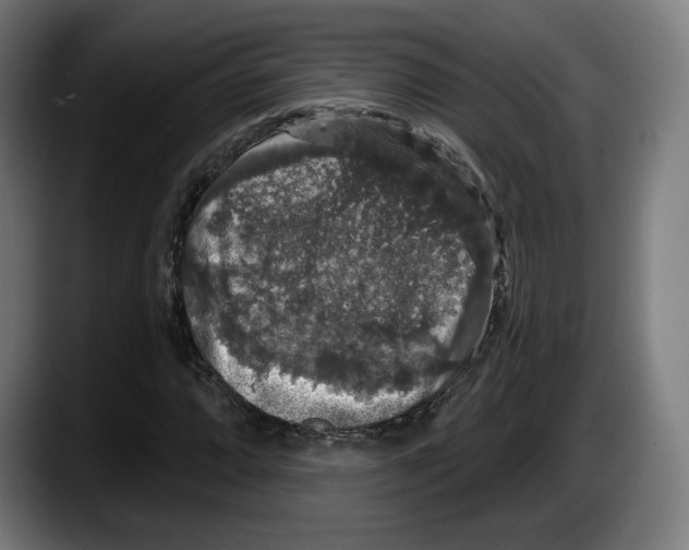 X0000087531064200705251655