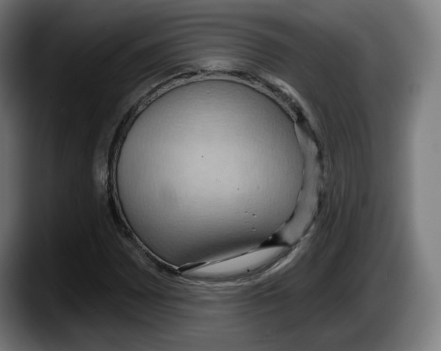 X0000087531065200705251655