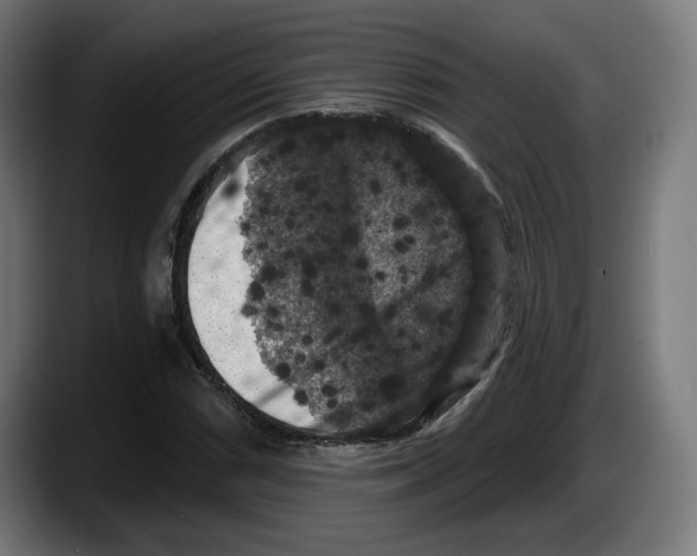 X0000087531066200705251655
