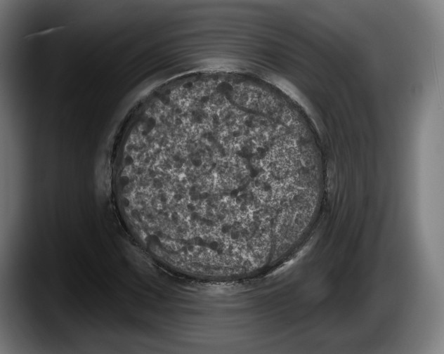 X0000087531067200705251655