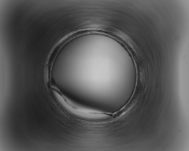 X0000087531069200705251655