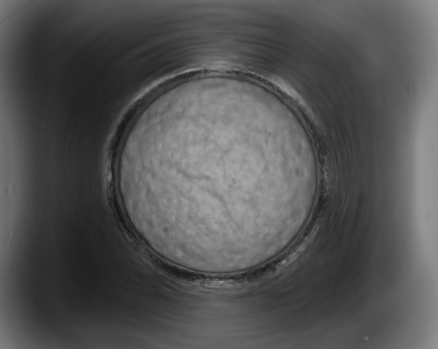 X0000087531070200705251655