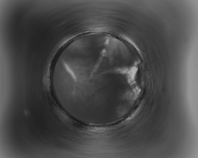 X0000087531071200705251655