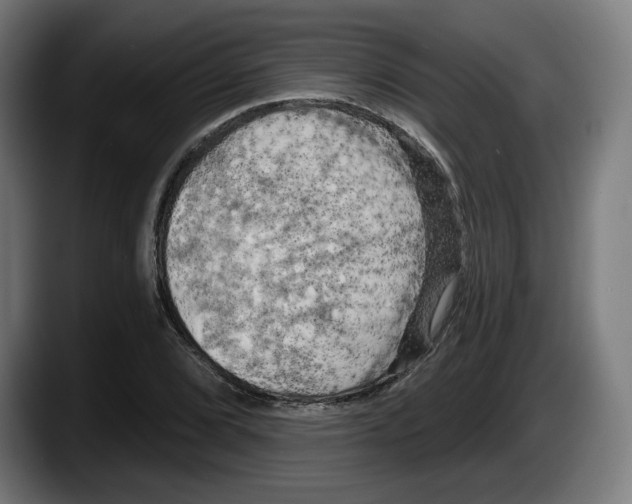 X0000087531072200705251655