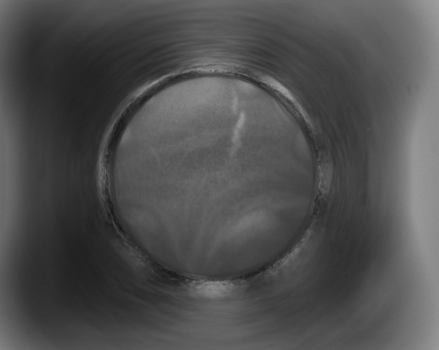 X0000087531074200705251655
