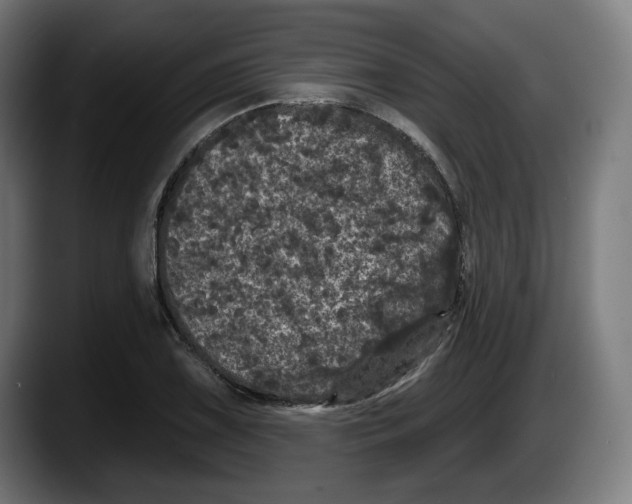 X0000087531075200705251655