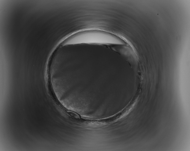 X0000087531077200705251654