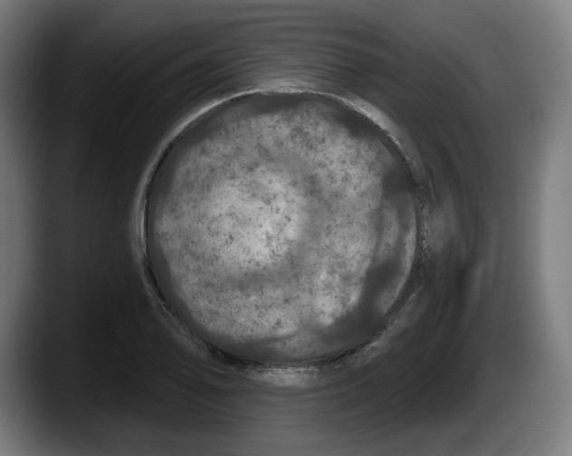 X0000087531078200705251654