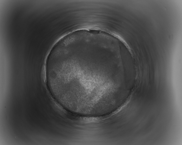 X0000087531079200705251654