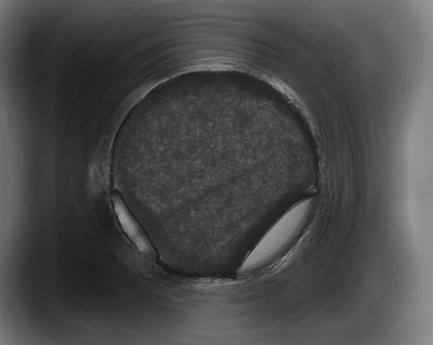 X0000087531081200705251654