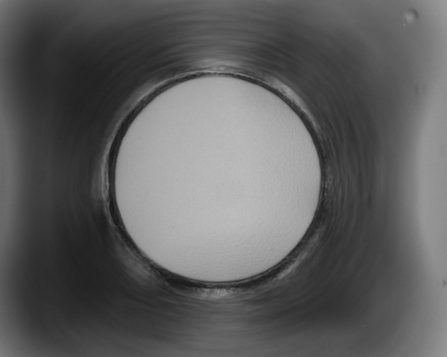 X0000087531082200705251654