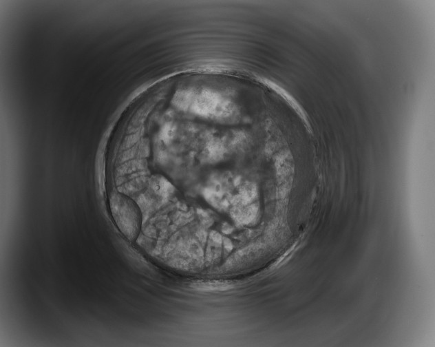 X0000087531083200705251654