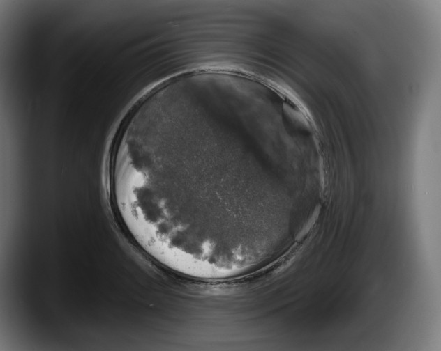 X0000087531084200705251654
