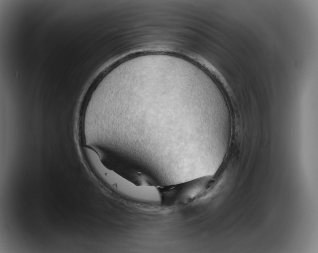 X0000087531085200705251654