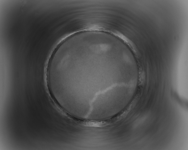 X0000087531086200705251654