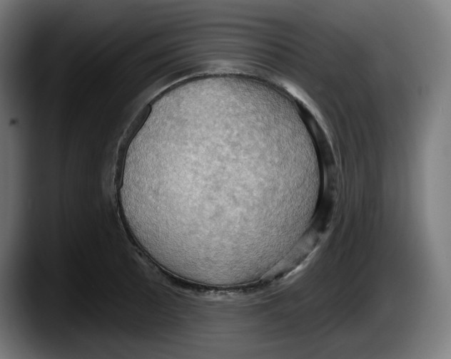 X0000087531089200705251654