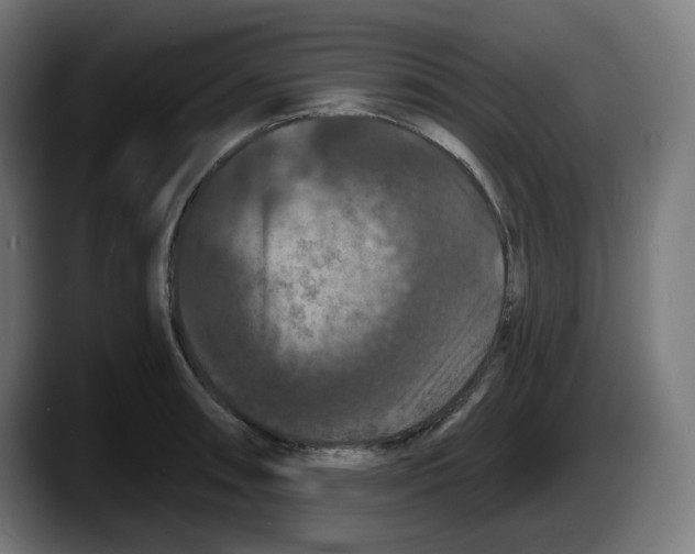 X0000087531090200705251654