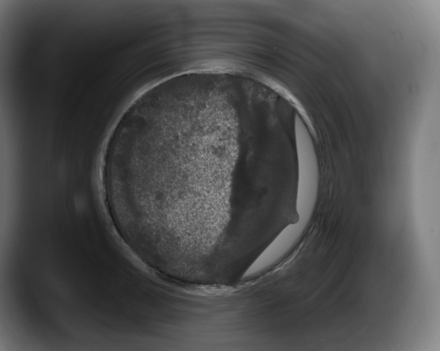 X0000087531091200705251654