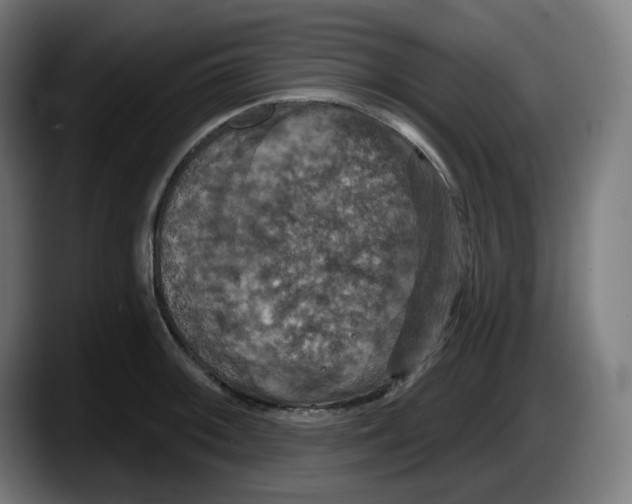 X0000087531092200705251654
