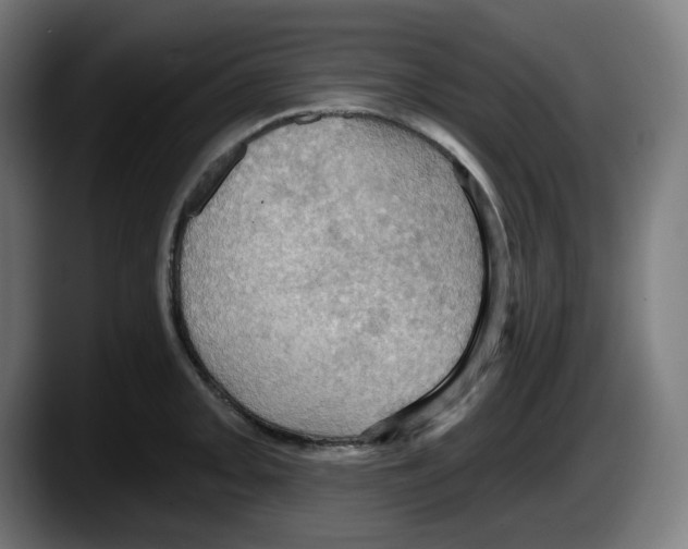 X0000087531093200705251654