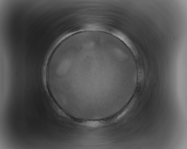 X0000087531094200705251654