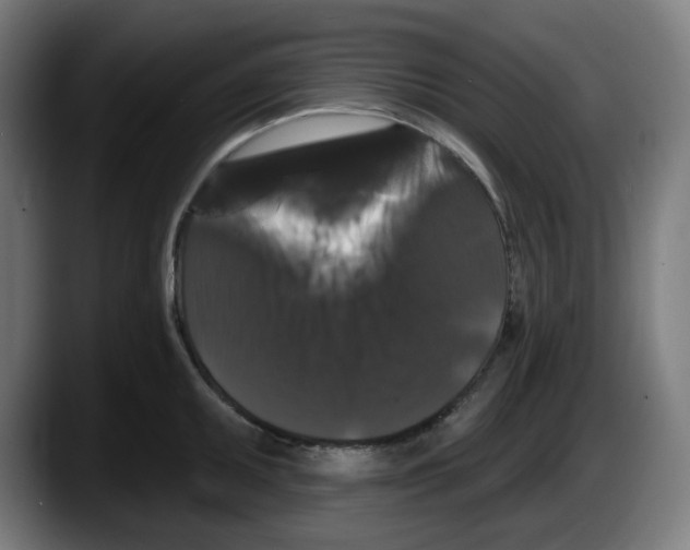X0000087531095200705251654