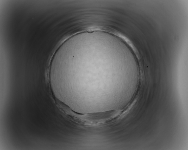 X0000087531097200705251654