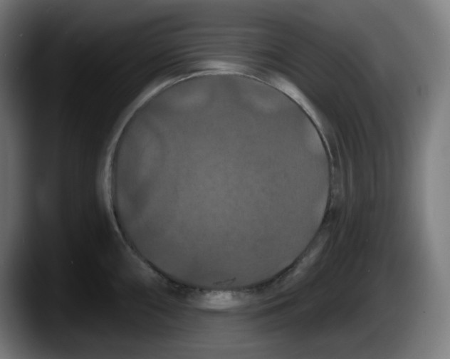 X0000087531098200705251654