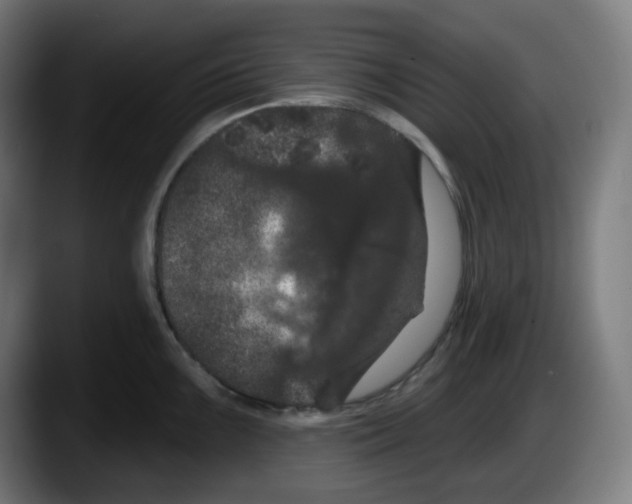 X0000087531099200705251654