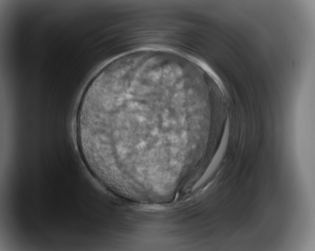 X0000087531100200705251654